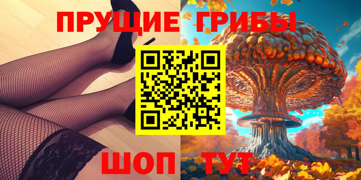 Псилоцибиновые грибы Psilocybe  Вход с VPN  Каменка 